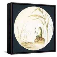 Toad Sitting on Rock in Pond, Card-null-Framed Stretched Canvas