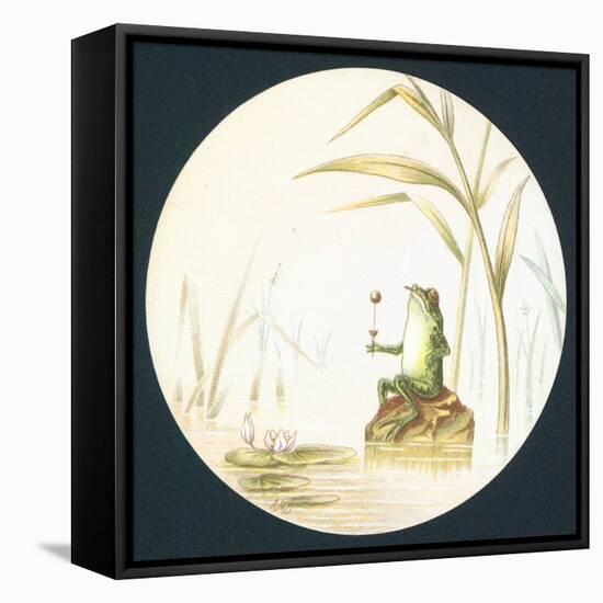 Toad Sitting on Rock in Pond, Card-null-Framed Stretched Canvas