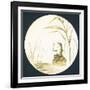 Toad Sitting on Rock in Pond, Card-null-Framed Giclee Print
