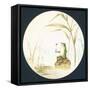 Toad Sitting on Rock in Pond, Card-null-Framed Stretched Canvas