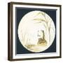 Toad Sitting on Rock in Pond, Card-null-Framed Giclee Print