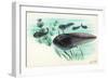 Toad Tadpoles-null-Framed Giclee Print