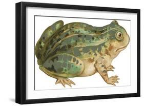 Toad-null-Framed Art Print