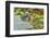 Toads-Gary Carter-Framed Photographic Print