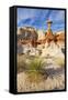 Toadstool Paria Rimrocks with Yucca Plant, Grand Staircase-Escalante Nat'l Monument, Utah, USA-Neale Clark-Framed Stretched Canvas