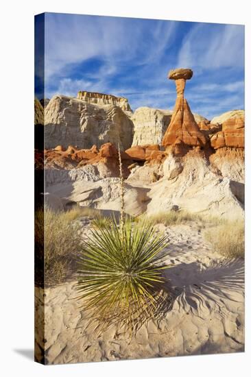 Toadstool Paria Rimrocks with Yucca Plant, Grand Staircase-Escalante Nat'l Monument, Utah, USA-Neale Clark-Stretched Canvas