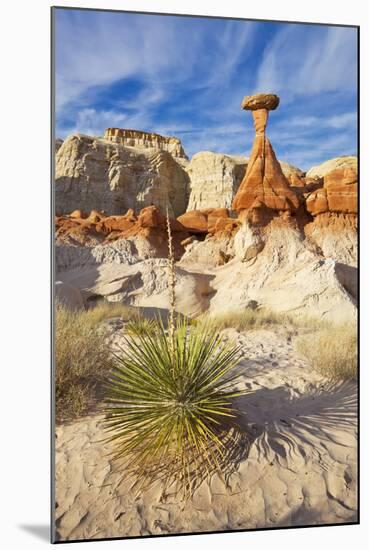 Toadstool Paria Rimrocks with Yucca Plant, Grand Staircase-Escalante Nat'l Monument, Utah, USA-Neale Clark-Mounted Photographic Print