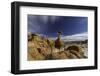 toadstools stacked-Jeff Poe-Framed Photo