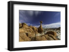 toadstools stacked-Jeff Poe-Framed Photo