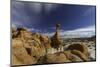 toadstools stacked-Jeff Poe-Mounted Photo