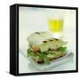 Toasted Cheese Sandwich-David Munns-Framed Stretched Canvas