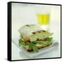 Toasted Cheese Sandwich-David Munns-Framed Stretched Canvas