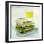 Toasted Cheese Sandwich-David Munns-Framed Premium Photographic Print