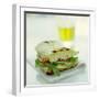 Toasted Cheese Sandwich-David Munns-Framed Premium Photographic Print