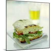 Toasted Cheese Sandwich-David Munns-Mounted Premium Photographic Print