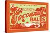 Toasted Cocoanut Balls-null-Stretched Canvas