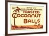 Toasted Cocoanut Balls-null-Framed Art Print