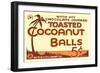 Toasted Cocoanut Balls-null-Framed Art Print