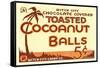 Toasted Cocoanut Balls-null-Framed Stretched Canvas