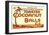 Toasted Cocoanut Balls-null-Framed Art Print