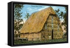 Tobacco Barn, Cuba-null-Framed Stretched Canvas