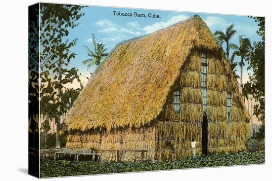 Tobacco Barn, Cuba-null-Stretched Canvas