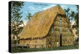 Tobacco Barn, Cuba-null-Stretched Canvas