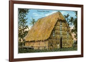 Tobacco Barn, Cuba-null-Framed Premium Giclee Print