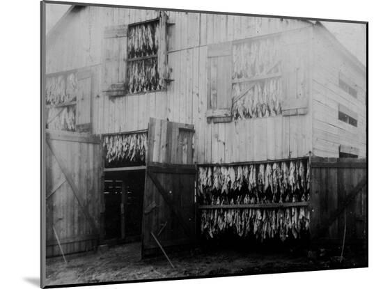 Photo, , large