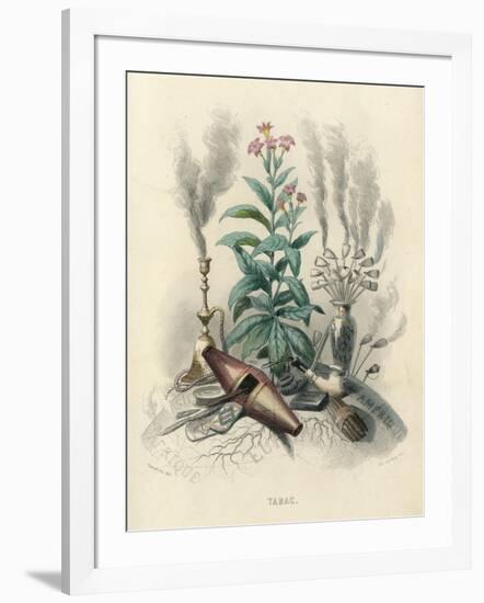 Tobacco, Grandville-null-Framed Art Print