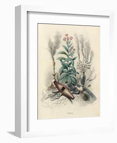 Tobacco, Grandville-null-Framed Art Print