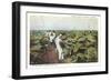 Tobacco Harvest in Shade-null-Framed Art Print