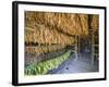 Tobacco Leaves Hung Up to Dry, Vinales Valley, Cuba, West Indies, Caribbean, Central America-Christian Kober-Framed Photographic Print