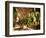 Tobacco Leaves on Racks in Drying Shed, Vinales, Cuba, West Indies, Central America-Lee Frost-Framed Photographic Print