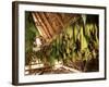 Tobacco Leaves on Racks in Drying Shed, Vinales, Cuba, West Indies, Central America-Lee Frost-Framed Photographic Print