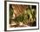 Tobacco Leaves on Racks in Drying Shed, Vinales, Cuba, West Indies, Central America-Lee Frost-Framed Photographic Print