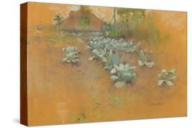 Tobacco Patch, C.1895-1899 (Pastel on Brown Paper)-John Henry Twachtman-Stretched Canvas