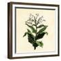 Tobacco Plant-null-Framed Giclee Print