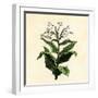 Tobacco Plant-null-Framed Giclee Print