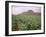 Tobacco Plantation, Cuba, West Indies, Central America-Colin Brynn-Framed Photographic Print