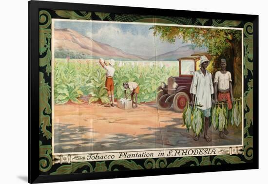 Tobacco Plantation in Southern Rhodesia, from the Series 'Smoke Empire Tobacco'-Frank Pape-Framed Giclee Print