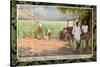 Tobacco Plantation in Southern Rhodesia, from the Series 'Smoke Empire Tobacco'-Frank Pape-Stretched Canvas