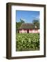 Tobacco Plantation, Pinar Del Rio Province, Cuba-Jon Arnold-Framed Photographic Print