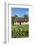 Tobacco Plantation, Pinar Del Rio Province, Cuba-Jon Arnold-Framed Photographic Print