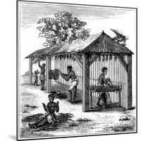 Tobacco Preparation, 1873-null-Mounted Giclee Print