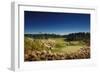 Tobacco Road Golf Course-Stephen Szurlej-Framed Premium Giclee Print