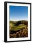 Tobacco Road Golf Course-Stephen Szurlej-Framed Premium Photographic Print