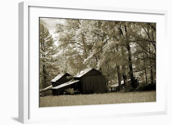 Tobacco Road-Alan Hausenflock-Framed Photographic Print