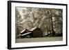 Tobacco Road-Alan Hausenflock-Framed Photographic Print