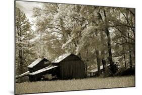 Tobacco Road-Alan Hausenflock-Mounted Photographic Print